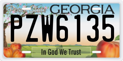 GA license plate PZW6135
