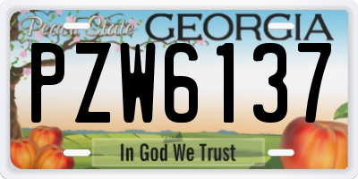 GA license plate PZW6137