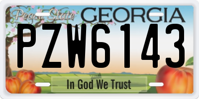 GA license plate PZW6143