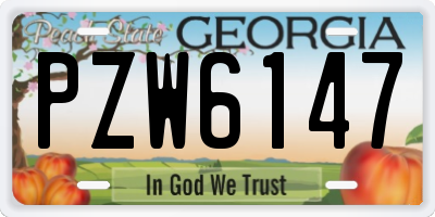 GA license plate PZW6147
