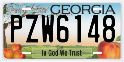 GA license plate PZW6148