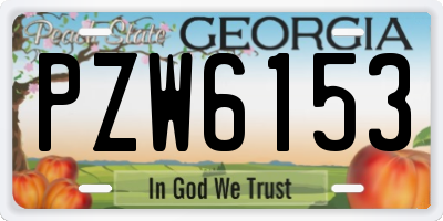 GA license plate PZW6153