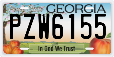 GA license plate PZW6155