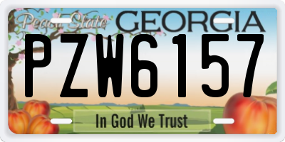 GA license plate PZW6157