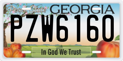 GA license plate PZW6160