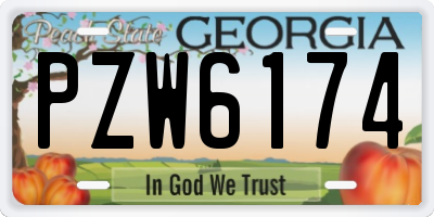 GA license plate PZW6174