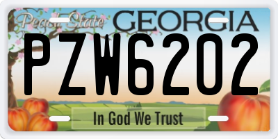 GA license plate PZW6202