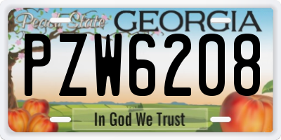 GA license plate PZW6208