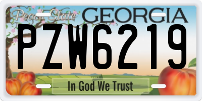 GA license plate PZW6219