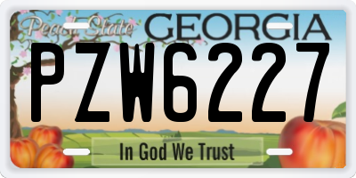 GA license plate PZW6227