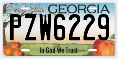 GA license plate PZW6229