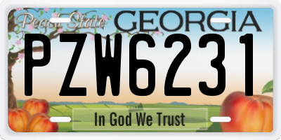 GA license plate PZW6231