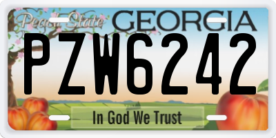 GA license plate PZW6242