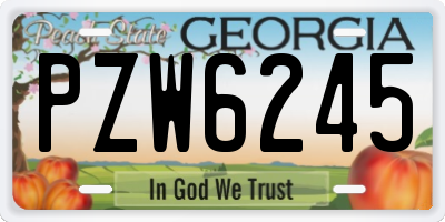GA license plate PZW6245