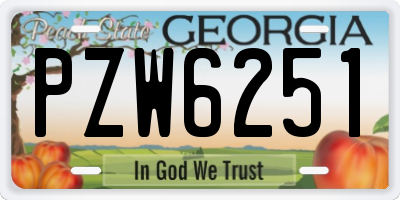 GA license plate PZW6251