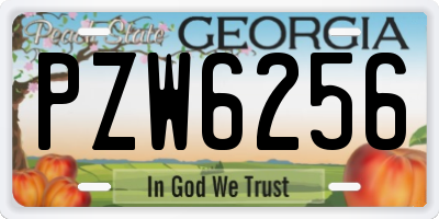 GA license plate PZW6256