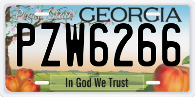 GA license plate PZW6266
