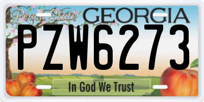 GA license plate PZW6273