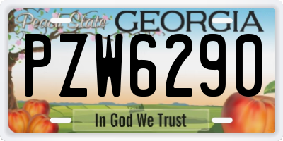 GA license plate PZW6290