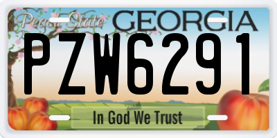GA license plate PZW6291