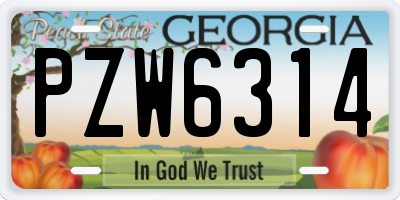 GA license plate PZW6314