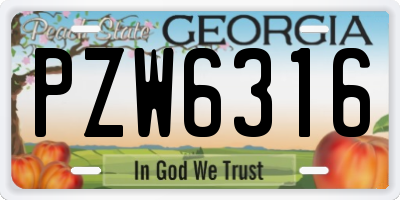 GA license plate PZW6316