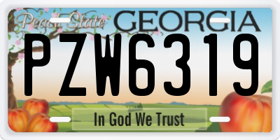 GA license plate PZW6319