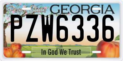 GA license plate PZW6336