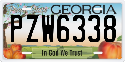 GA license plate PZW6338