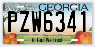 GA license plate PZW6341
