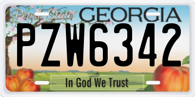 GA license plate PZW6342