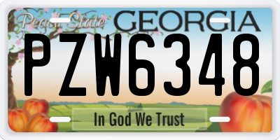 GA license plate PZW6348