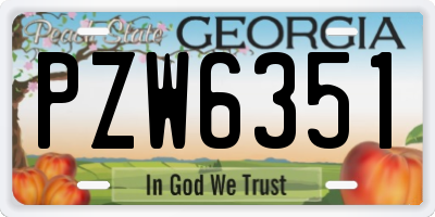 GA license plate PZW6351