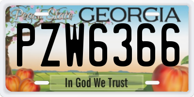 GA license plate PZW6366
