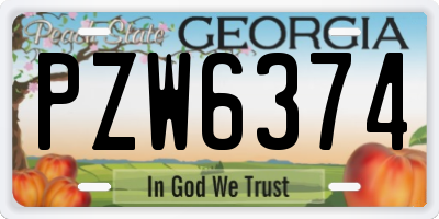 GA license plate PZW6374