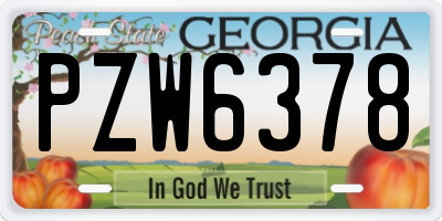 GA license plate PZW6378