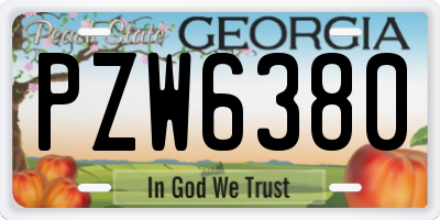 GA license plate PZW6380