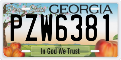 GA license plate PZW6381