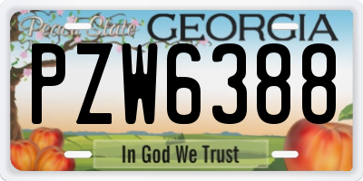 GA license plate PZW6388