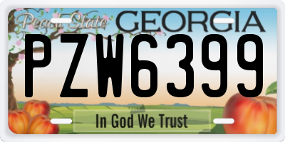 GA license plate PZW6399