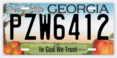 GA license plate PZW6412
