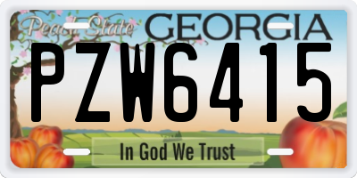 GA license plate PZW6415