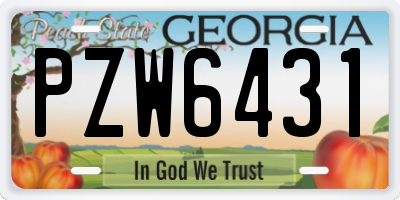 GA license plate PZW6431