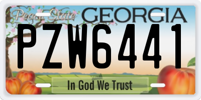 GA license plate PZW6441