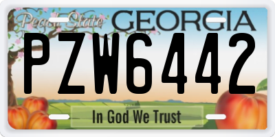 GA license plate PZW6442