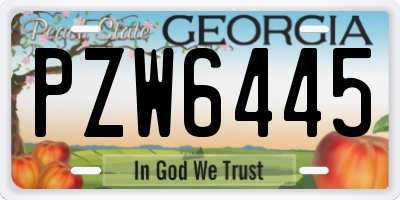GA license plate PZW6445