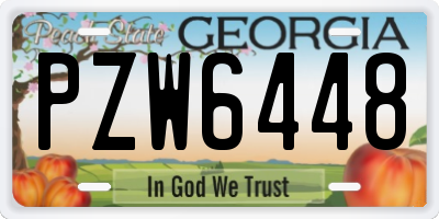 GA license plate PZW6448