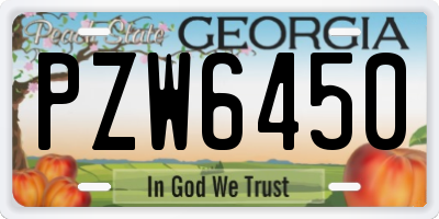 GA license plate PZW6450