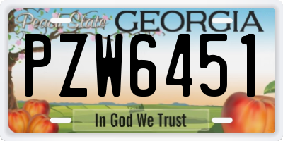 GA license plate PZW6451