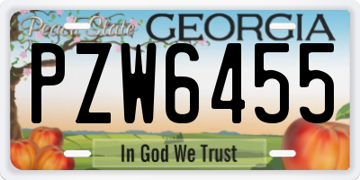 GA license plate PZW6455